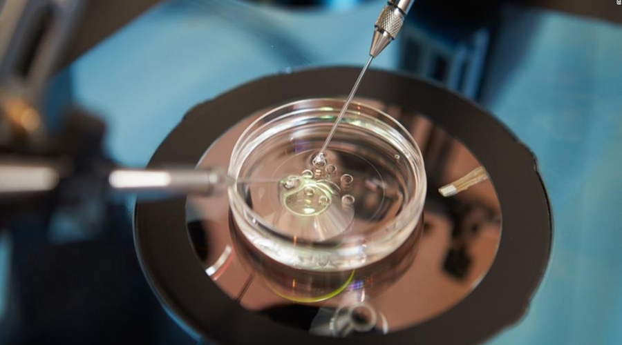 in-vitro-fecundacion1